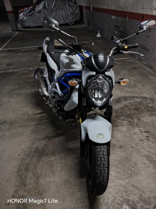 Suzuki Gladius 650 2010 Revisada