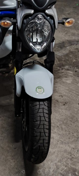 Suzuki Gladius 650 2010 Revisada
