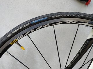 Specialized Tarmac Carbon Fact