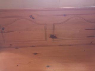 Conjunto mesa y banco de madera