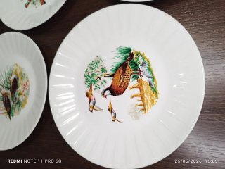 PLATOS CAZA VINTAGE PORCELANIT