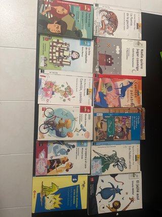 Libros de lectura santa ana