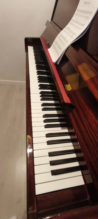 Piano Acústico Otto Bach Marrón