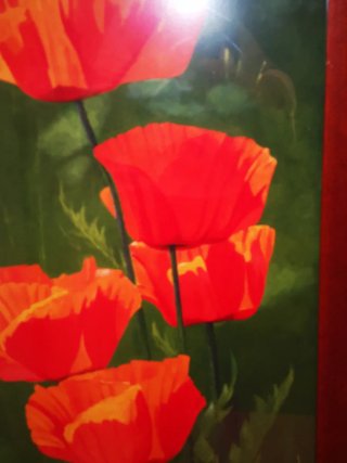 Quadro papaveri rossi con cornice in legno
