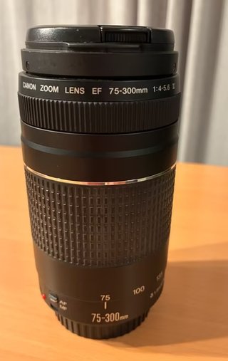 Canon EOS 1000D + Objetivo EF 75-300mm