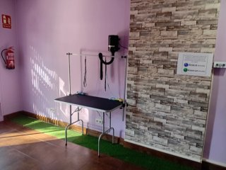 Autolavado Canino Barcelona