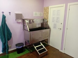 Autolavado Canino Barcelona