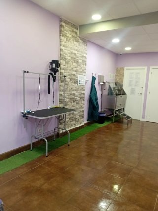 Autolavado Canino Barcelona