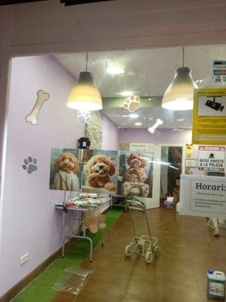 Autolavado Canino Barcelona