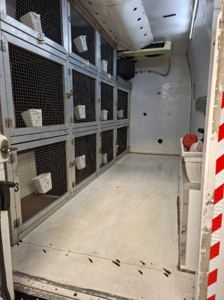 Transporte mascotas Espana-Europa
