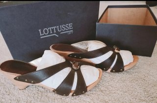 Zapatos Lottusse Marrones y Dorados