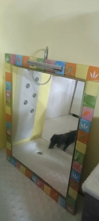 MUEBLE DE BAÑO,ESPEJO Y DISEÑO CON FOCO 980€ ANTES