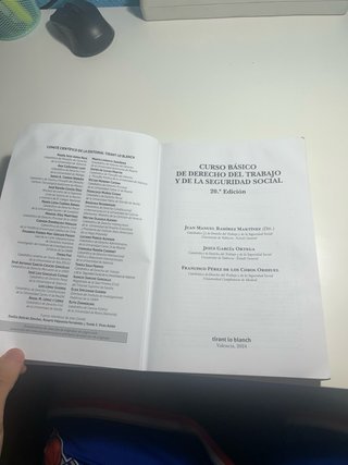 Curso básico de Derecho del Trabajo y de la Seg...