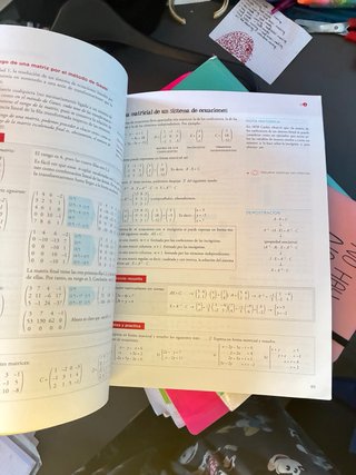 Matemáticas aplicadas a las Ciencias Sociales I...
