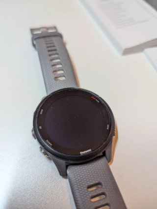 Garmin Forerunner 255 Gris