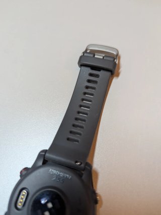 Garmin Forerunner 255 Gris