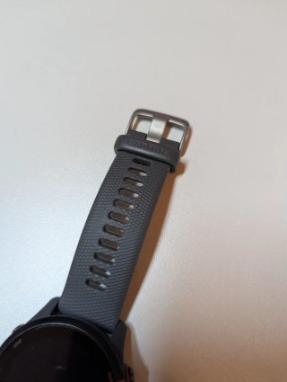 Garmin Forerunner 255 Gris