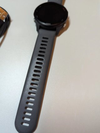 Garmin Forerunner 255 Gris