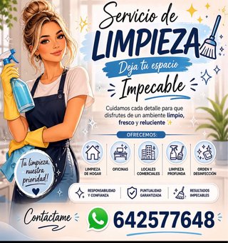 Limpieza profesional