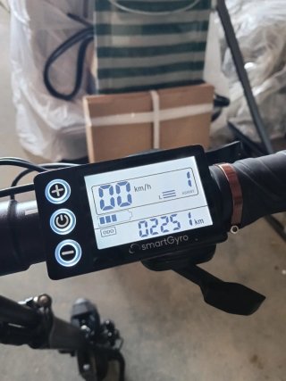 Patinete Eléctrico SmartGyro Dual Pro
