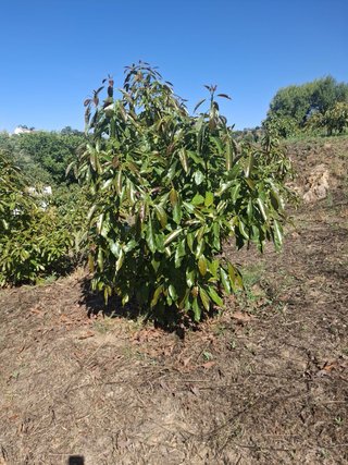 Finca con encanto en un lugar de La Raja