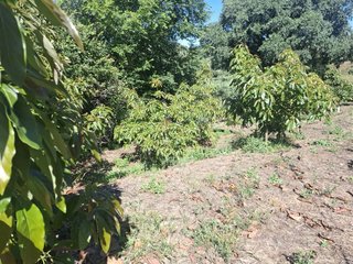 Finca con encanto en un lugar de La Raja