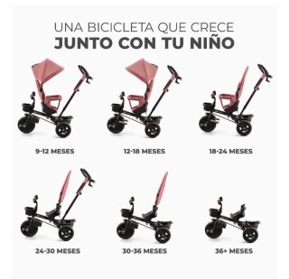 Triciclo Evolutivo Kinderkraft Gris
