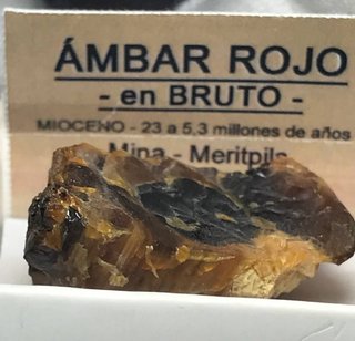 Ámbar Rojo Bruto Mioceno Borneo + Regalo