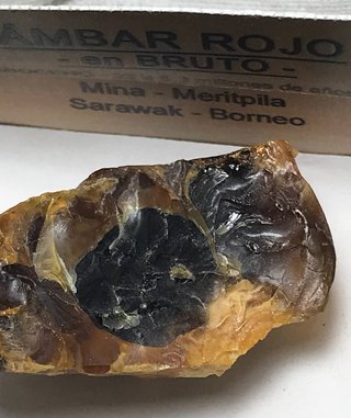 Ámbar Rojo Bruto Mioceno Borneo + Regalo