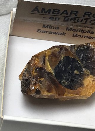 Ámbar Rojo Bruto Mioceno Borneo + Regalo