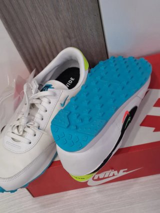 Scarpe Nike Bianche e Blu