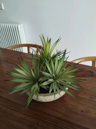 Planta Decorativa Estilo Ikea