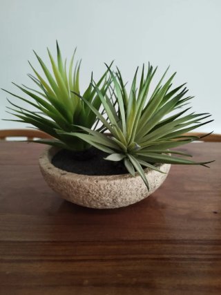 Planta Decorativa Estilo Ikea