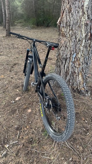 Scott Genius 910 2019