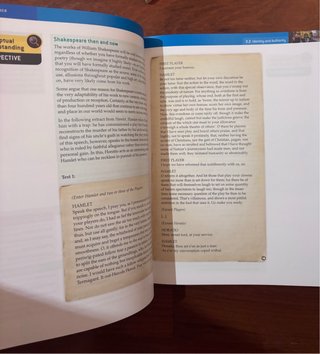 IB English A: Language and Literature IB Englis...