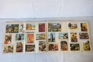 Álbum de cromos Fournier vida y color 2