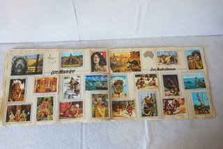 Álbum de cromos Fournier vida y color 2