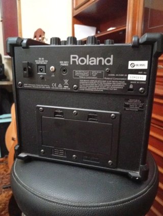 Amplificador Roland Micro Cube GX