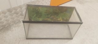 Acuario tortuga cristal con tapadera de cristal