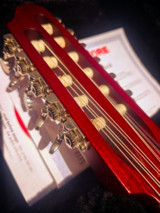 Laúd Godin MultiOud Ambiance hight gloss natural