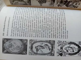 I Tarocchi Svelati - Per Principianti. Raro