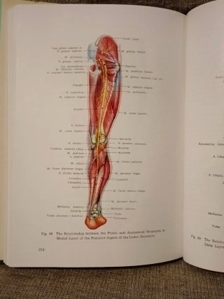 Anatomical Atlas of Chinese Acupuncture Points