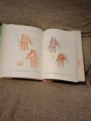 Anatomical Atlas of Chinese Acupuncture Points