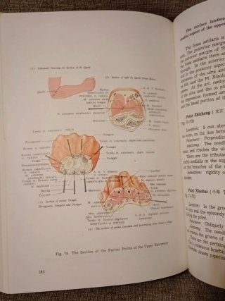 Anatomical Atlas of Chinese Acupuncture Points