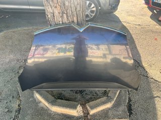 Capó Citroën C4 Grand Picasso