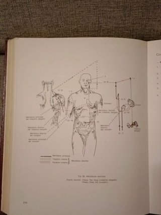 Patogenia y Patologia Energeticas E0 Medicina C...