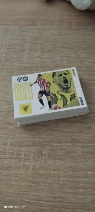 Cromos Panini LaLiga 25/26