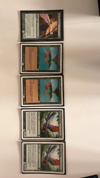 Cartas Magic MTG +2500 Foil Viejas