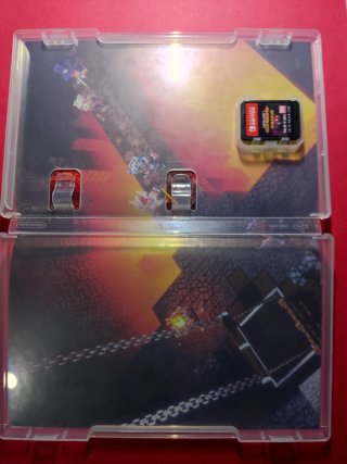Minecraft Dungeons Nintendo Switch #A2878