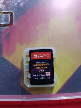 Minecraft Dungeons Nintendo Switch #A2878